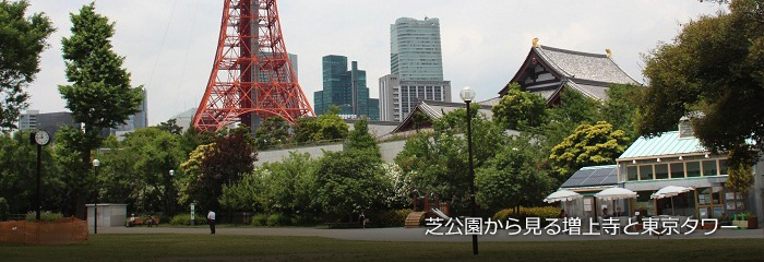芝公園から見る増上寺と東京タワー