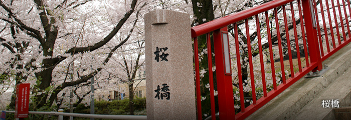 桜橋