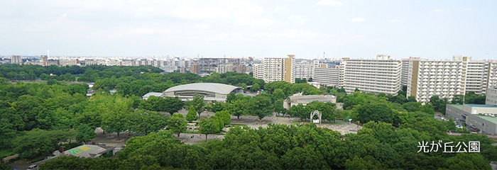 光が丘公園