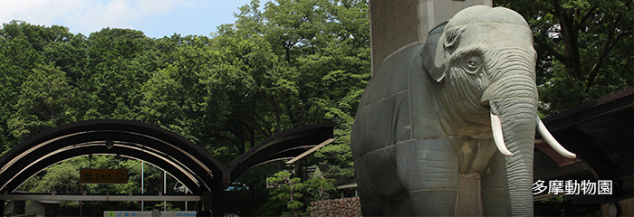 多摩動物園