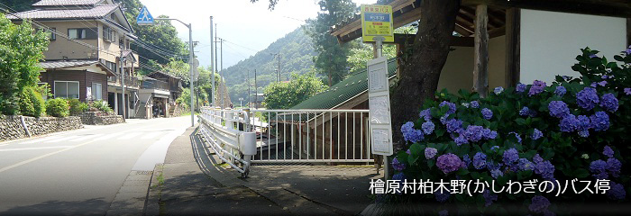 檜原村柏木野(かしわぎの)バス停