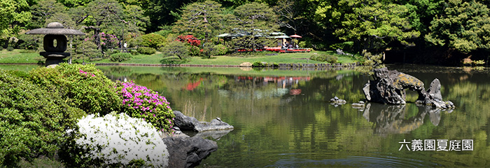 六義園夏庭園