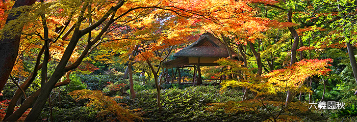 六義園秋