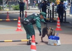 警察犬によるデモンストレーション