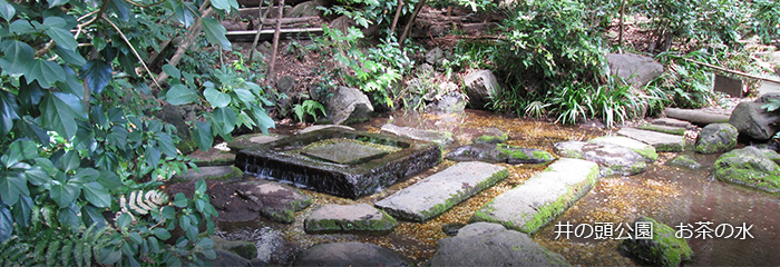 井の頭公園　お茶の水