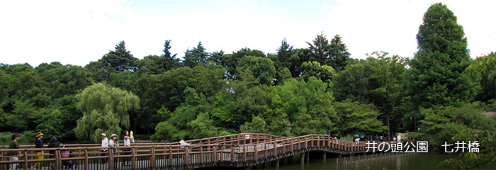 井の頭公園　七井橋