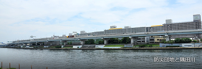 防災団地と隅田川