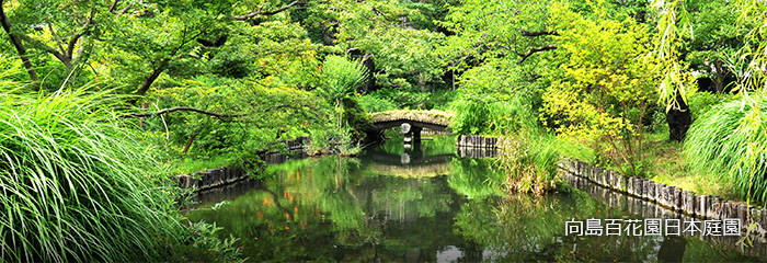 向島百花園日本庭園