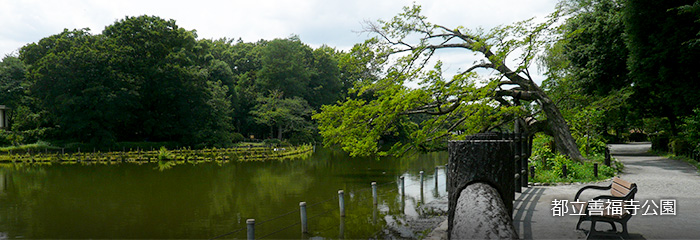 都立善福寺公園