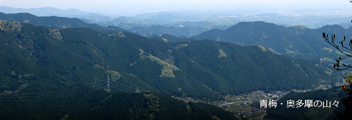 青梅・奥多摩の山々