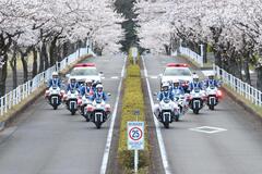 出動式写真