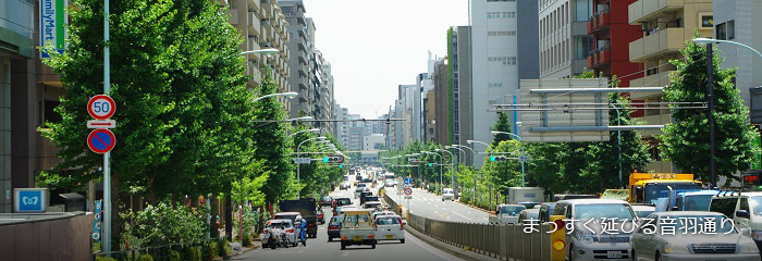 まっすぐ延びる音羽通り