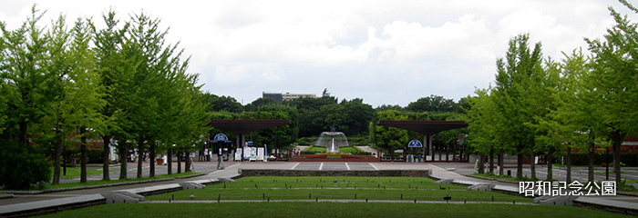 昭和記念公園