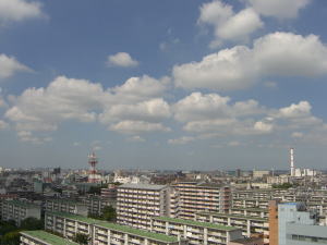 晴れた日の署の屋上から見た風景