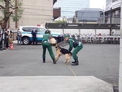 警備犬の訓練