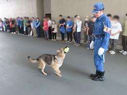 臭気選別訓練