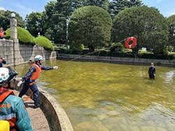 陸からの救助