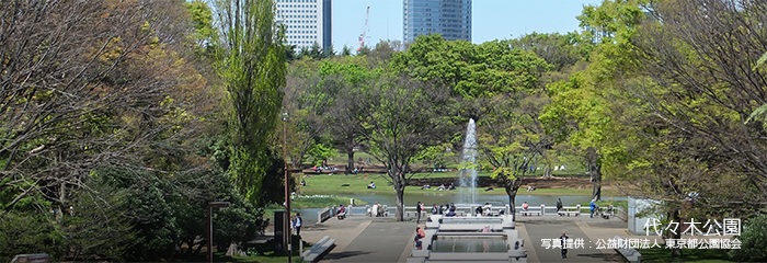 代々木公園　写真提供：公益財団法人 東京都公園協会