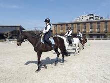 他の馬と動きを合わせている写真