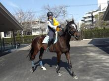 子供を乗せる前の練習