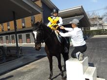 ぬいぐるみで馴らして次は本番