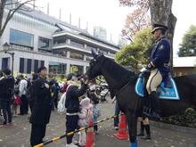 街中での実戦風景