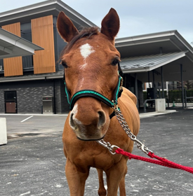 エムティイーグル写真前から