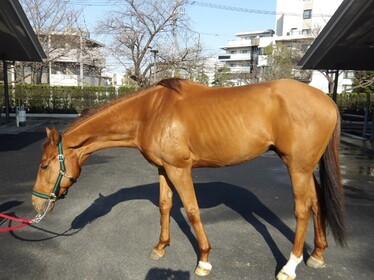 エムティイーグル写真横から