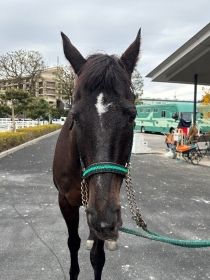 銀河写真正面から