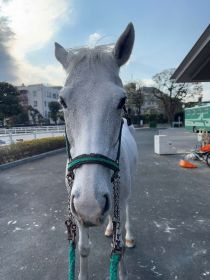 輝白写真前から