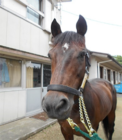 きりゅう写真前から