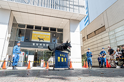 警察犬展示訓練