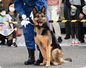 警察犬その1