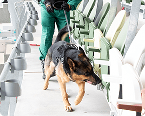 警備犬その1