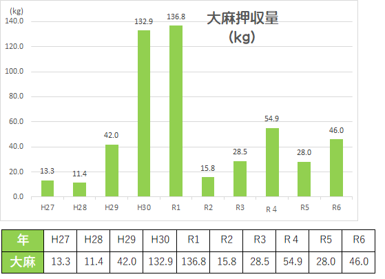 大麻押収量グラフ