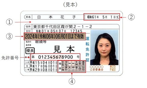 見本