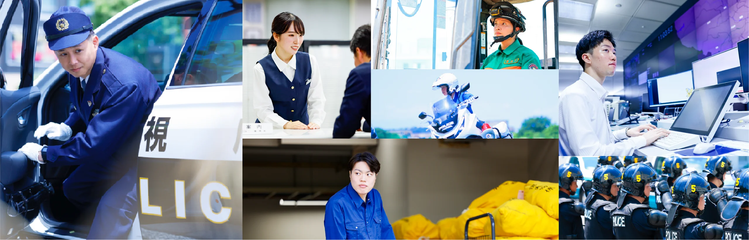 先輩の試験対策 メインビジュアル