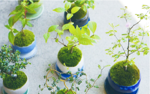 事務・本部休日画像