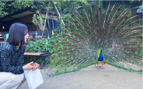 交通警察休日画像