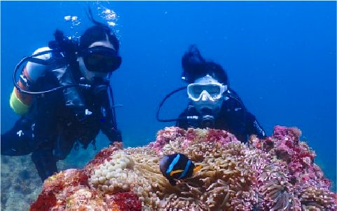 交通警察休日画像