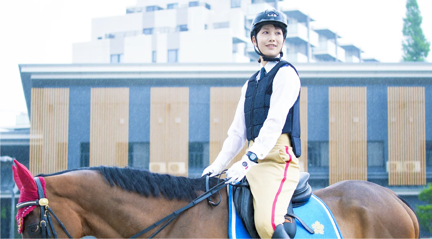 交通警察メイン画像