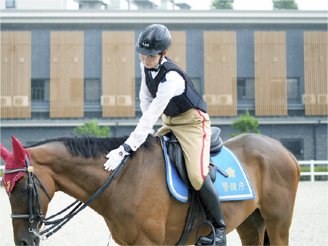 交通警察サブ画像