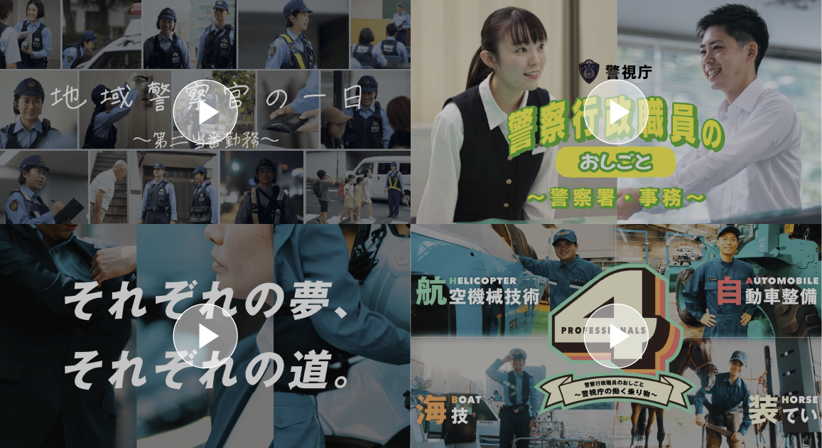 動画コンテンツ