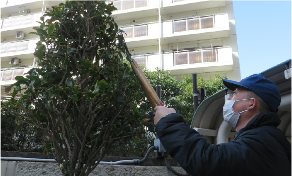 樹木の剪定