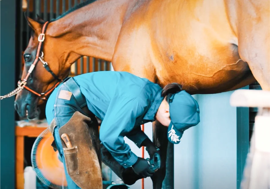 警察行政職員（技術・専門・技能系）職種画像
