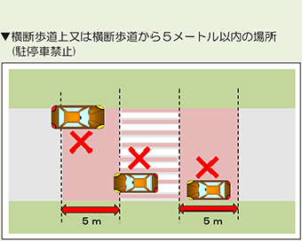 横断歩道上又は横断歩道から5メートル以内の場所　イラスト